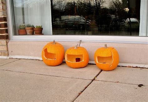 The Dachshund Pumpkins Dog Pumpkin Halloween Pumpkin Carving