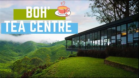 Boh Tea Plantation Cameron Highland Cafe Naomitarovincent