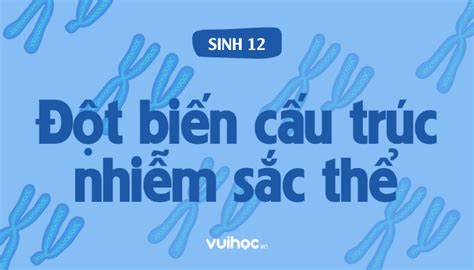 Đột Biến Cấu Trúc Nhiễm Sắc Thể Là Gì Nguyên Nhân Các Loại Đột Biến