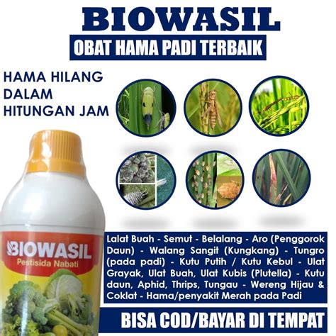 Jual Biowasil Obat Hama Padi Sawah Paling Ampuh Obat Semprot Hama