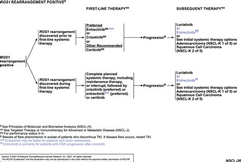 Nccn Guidelines Insights Nonsmall Cell Lung Cancer Version 22021 In