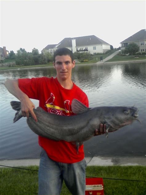 monster catfish - Other Fish Species - Bass Fishing Forums