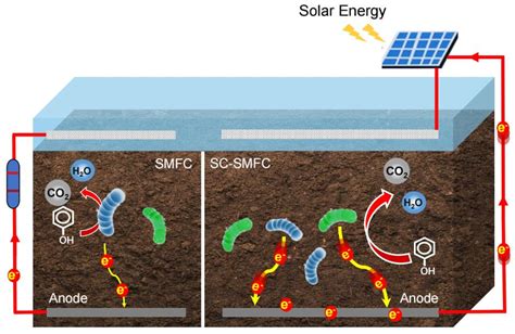 兰州大学本科生在新型太阳能 土壤微生物燃料电池系统构建方面取得新发现 兰州大学新闻网