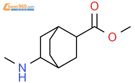 Bicyclo Octane Carboxylic Acid Methylamino