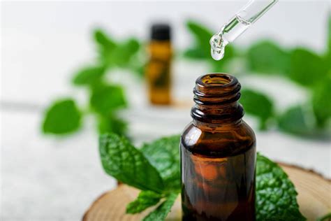 Overview: Peppermint Essential Oil - The Dropologist Essential Oils Lab