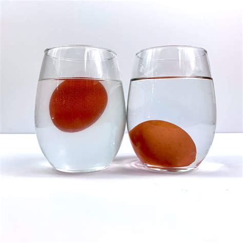 Experimonkey - Science Experiments, Games, & Jokes for Kids!