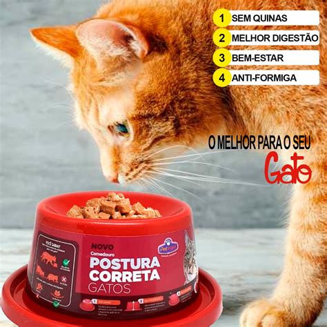 Comedouro Para Gato Elevado Ergon Mico Postura Correta Shopee Brasil