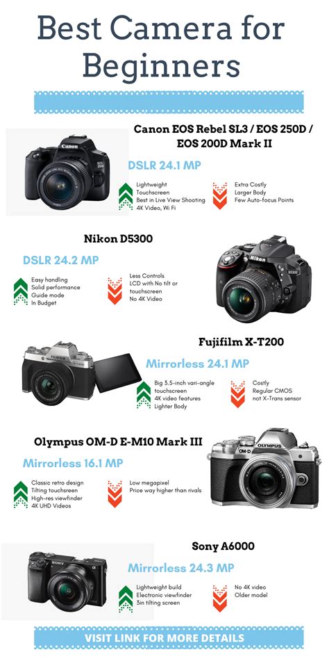 Photography Cameras For Beginners Inselmane