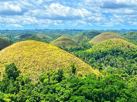 Chocolate Hills in Bohol - how to get there and best activities to do! - Freestyletraveling