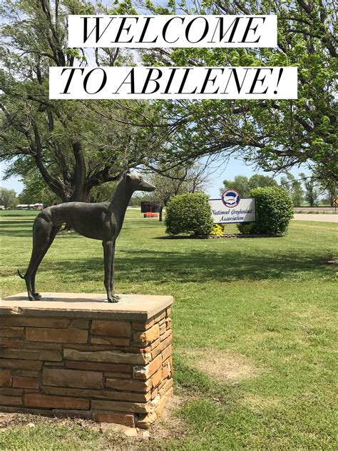 Greyhound Route US0421: Schedule and Trip Information 1