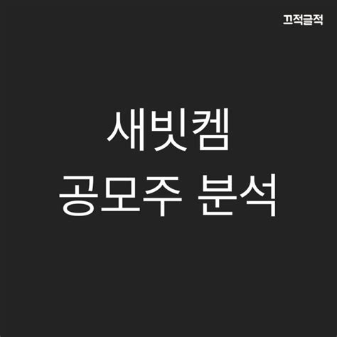 새빗켐 공모주 분석 Feat 청약일정 유통가능주식수 보호예수 의무확약 네이버 블로그