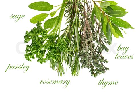 Herbs Rosemary Sage Bay Leaves Parsley And Thyme Stock Image