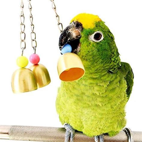 Amazon Mrli Pet Parrot Hammock Bell Toys Suitable For Small