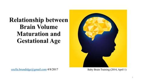 Relationship Between Brain Volume Maturation And Gestational Age Ppt