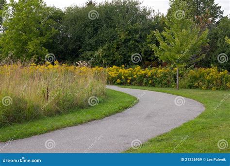 Curved Path In A Park Stock Image Image Of Curve Tree 21226959