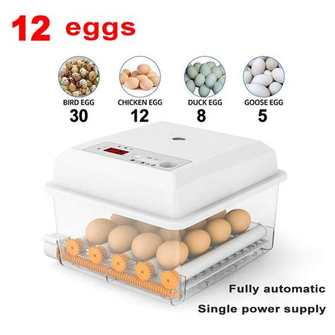 12 16 30 36 64 120 Eggs Incubator Automatic Digital Incubator Poultry