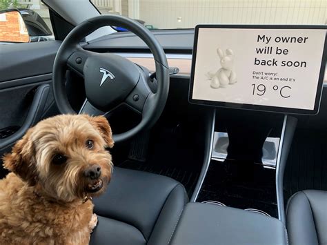 Tesla Dog Mode Ontariocarsca