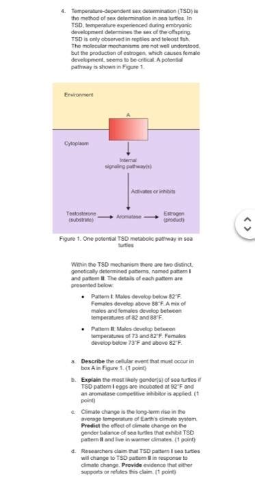 Solved Temperature Dependent Sex Determination Tsd Is Chegg