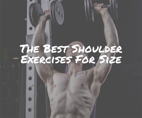 The Best Shoulder Exercises For Size - Aesthetic Physiques