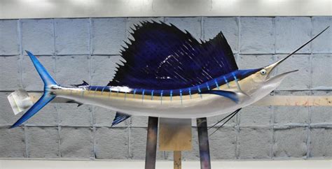 Gray Taxidermy Sailfish Mounts