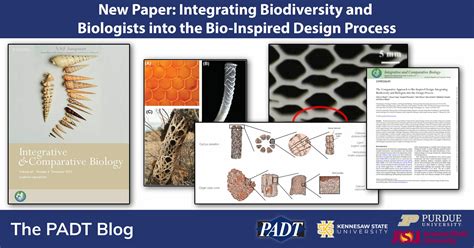 New Paper Bio Inspired Design Integrating Biodiversity And