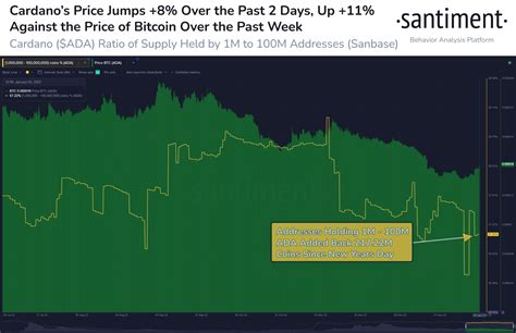 Cardano Price Prediction What Does Whale Accumulation Mean For Ada