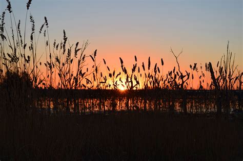 Opportunities - Winton Wetlands