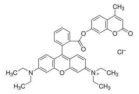 Tetramethylrhodamine Methyl Ester Perchlorate 95 115532 50 8