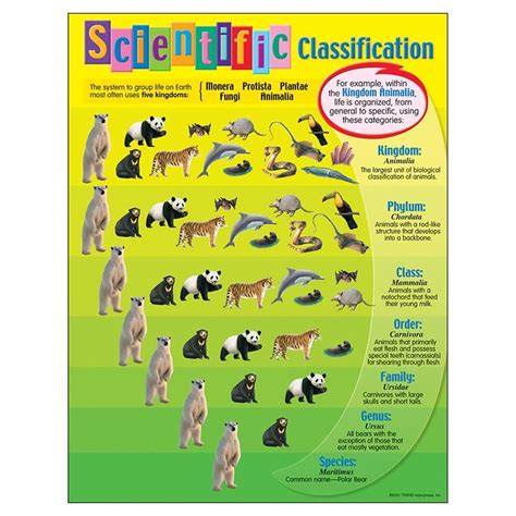 Chart Scientific Classification Teaching Biology Homeschool Science Teaching Science