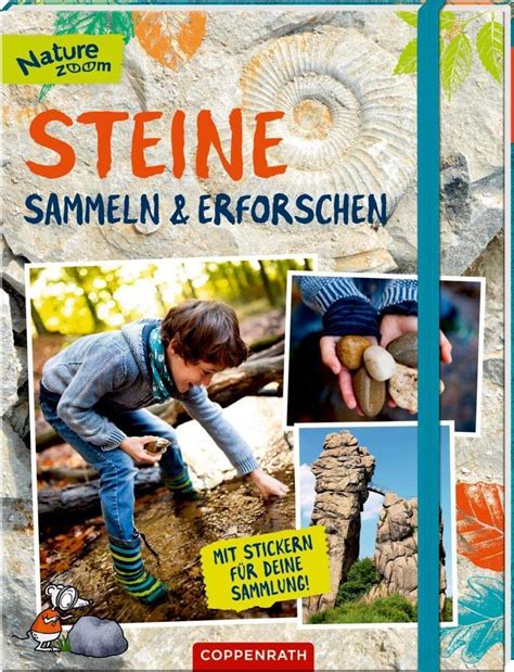 Steine sammeln und erforschen Mit Stickern für deine Sammlung Nature