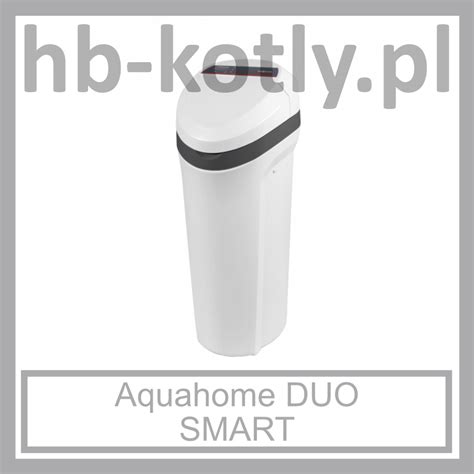 Stacja uzdatniania wody Viessmann AquaHome Duo SMART Kotły Viessmann