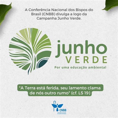 Junho Verde Campanha da CNBB visa conscientizar sobre a preservação do