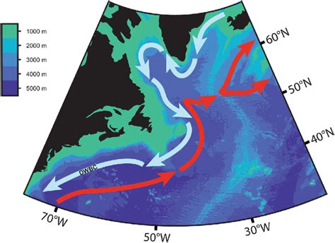 Simplified schematic of thermohaline circulation patterns in the ...