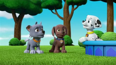 Rocky Gallery Ultimate Rescue Pups Save Captain Gordy Paw Patrol