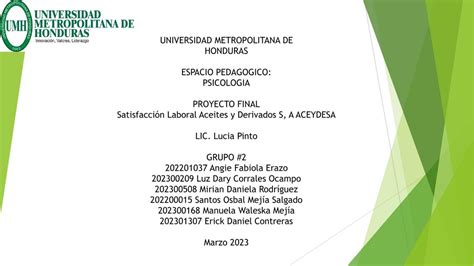 Satisfacción Laboral Aceites y Derivados Angie Erazo uDocz