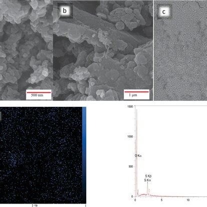 SEM Images Of A P AnicoCz Copolymer B P AnicoCz CNTSO3H