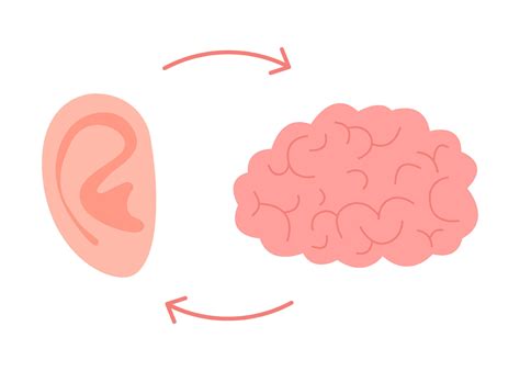 Connection Of Brain And Ear Hear Organ Unity Relation Of Mental Health And Hearing Vector