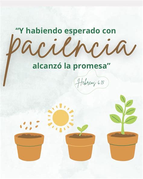 Paciencia Letra Lenine 1