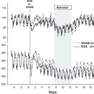 Hourly Plot Of Mean Arterial Pressure MAP And Heart Rate HR In SGX