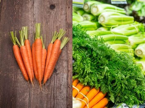 What are the Benefits of Carrot And Celery Juice: Unveil Wellness Secrets!