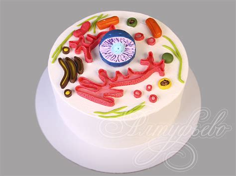 Торт Юному Биологу на 12 лет 161012321 детский в день рождения ...