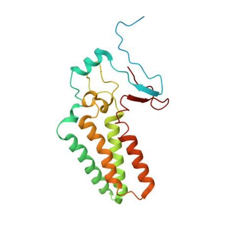 Rcsb Pdb Iaj Cryo Em Structure Of The Yeast Spt Orm Orm S A Complex