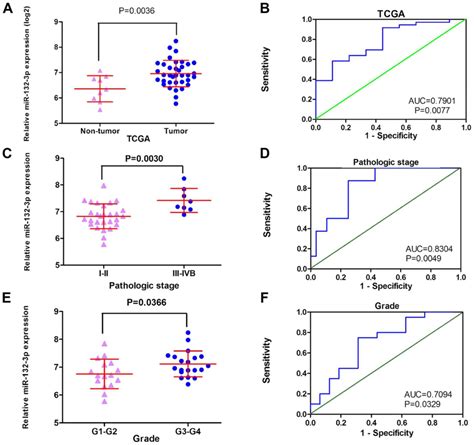 Upregulation Of MiR1323p In Cholangiocarcinoma Tissues A Study Based