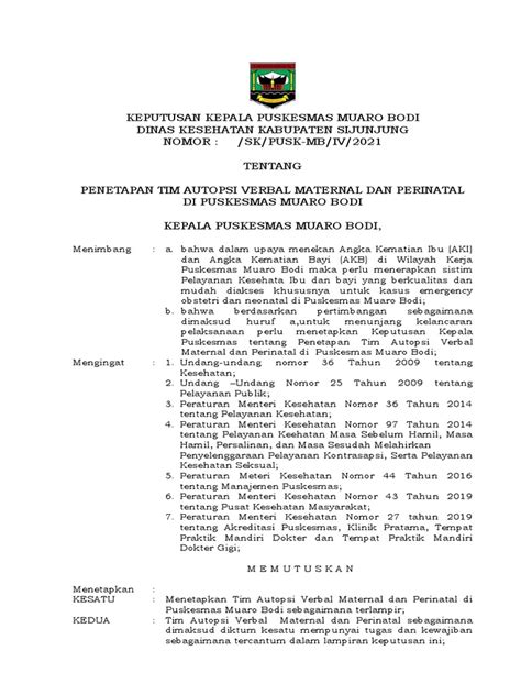 Sk Tim Audit Maternal Perinatal Pdf