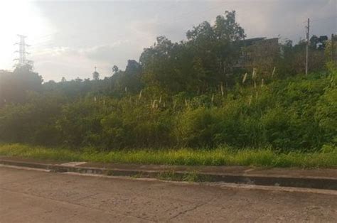 150 Sqm Overlooking Lot For Sale In Vista Grande Talisay Cebu City With