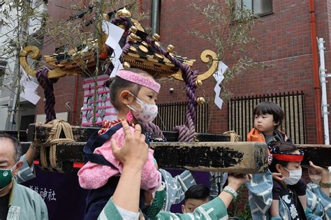 浅草・三社祭 3年ぶり神輿担ぎ 写真特集212 毎日新聞