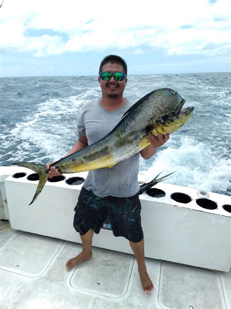 Puerto Vallarta fishing reports