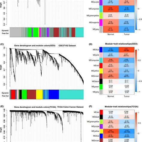 Constructions Of Wgcna Modules And Module‐trait Correlations A The