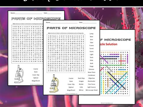 Parts of Microscope Word Search Puzzle | Teaching Resources