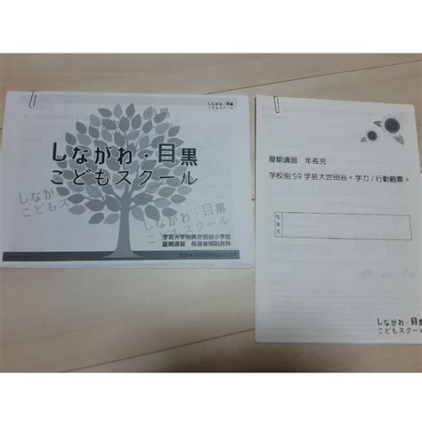 学芸大学附属世田谷小学校対策夏期講習資料の通販 By ®️ingos Shop｜ラクマ